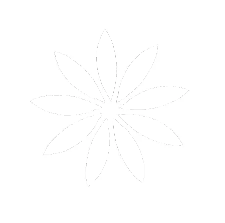 developer watermark